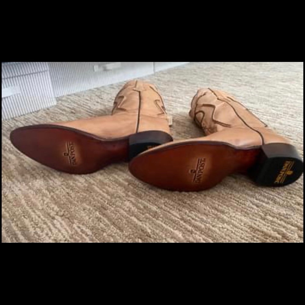NWT Dan Post Leather Boots Men’s Size 12D